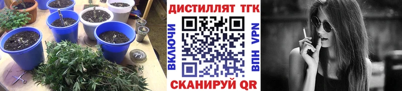 ТГК Wax Вологда