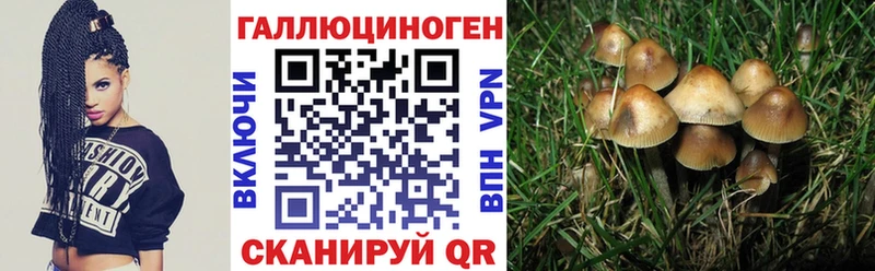 купить наркотики сайты  Вологда  Псилоцибиновые грибы прущие грибы 